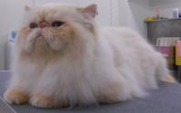 DSCN8646.jpg