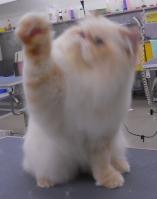 DSCN8649.jpg