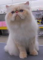 DSCN8654.jpg