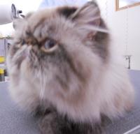 DSCN8670.jpg