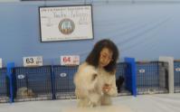 DSCN9009.jpg