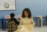 DSCN9016.jpg