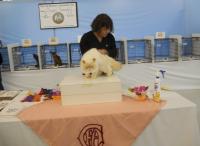 DSCN9067.jpg