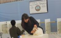 DSCN9089.jpg
