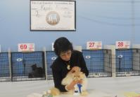 DSCN9242.jpg