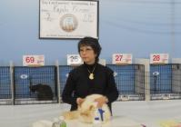 DSCN9244.jpg