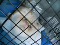DSCN9518.jpg