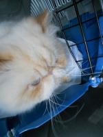 DSCN9519.jpg