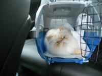 DSCN9527.jpg