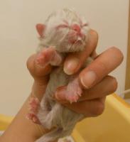 DSCN9550.jpg
