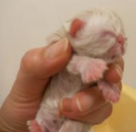 DSCN9552.jpg