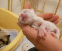 DSCN9562.jpg