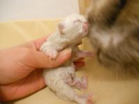 DSCN9605.jpg