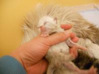 DSCN9608.jpg
