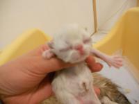 DSCN9610.jpg