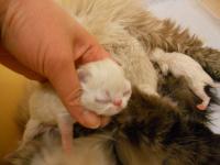 DSCN9612.jpg
