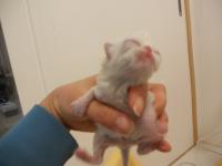 DSCN9613.jpg