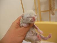 DSCN9614.jpg