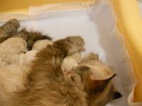 DSCN9617.jpg