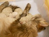 DSCN9618.jpg