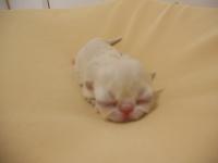 DSCN9620.jpg