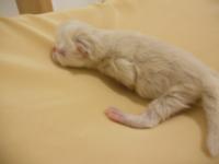 DSCN9621.jpg