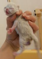 DSCN9638.jpg
