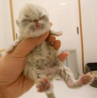 DSCN9718.jpg