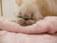 DSCN9761.jpg