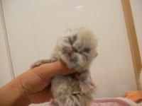 DSCN9790.jpg