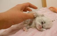DSCN9808.jpg