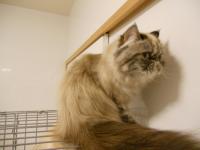 DSCN9929.jpg