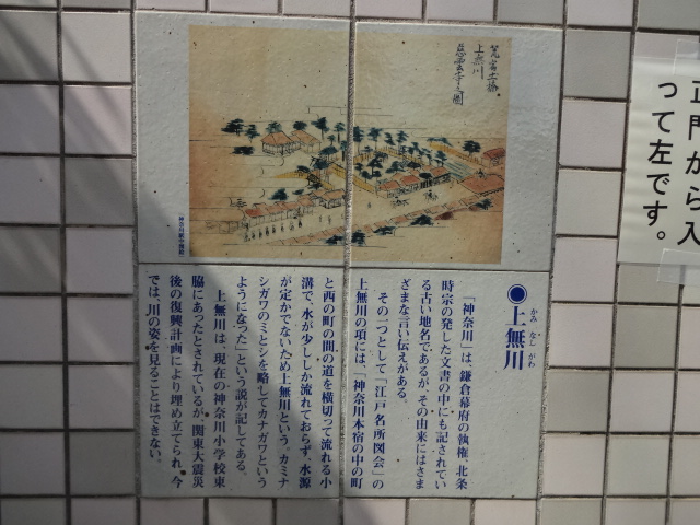 DSC02416.jpg