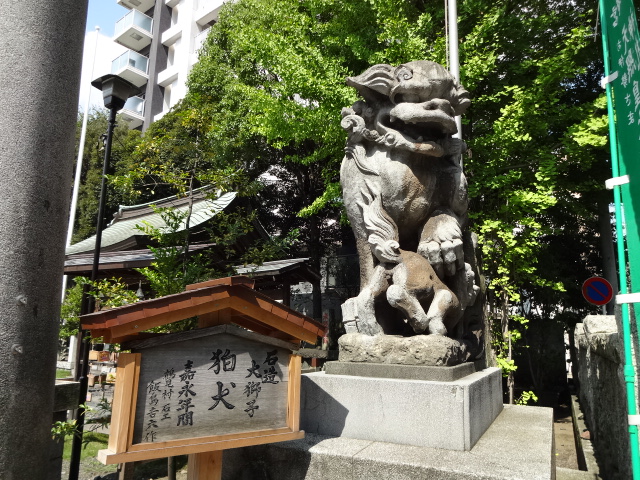 DSC02421.jpg