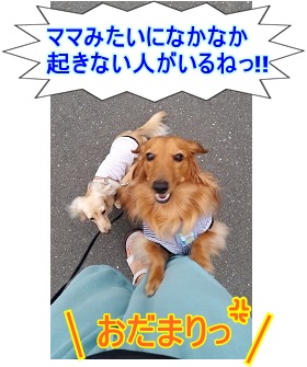 ママみたい・・・