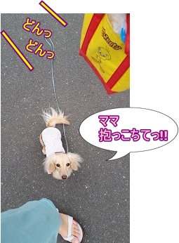 抱っこちて