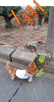 目覚まし時計