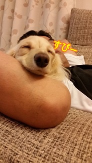 熟睡