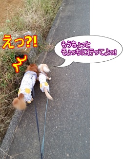 えっ?!
