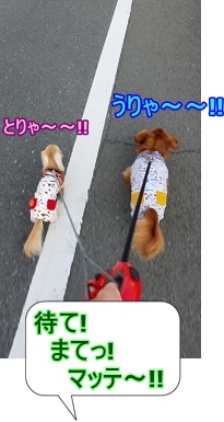 まてまてまて~~