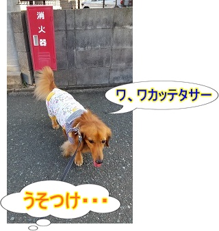 わかってたよ?