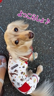 休憩