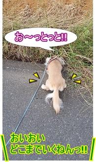おっとっと