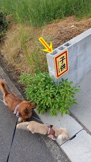 はあ??