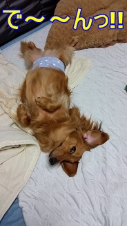 で~~んっ