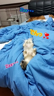 寝方