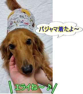 パジャマ