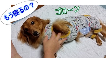 もう寝る?