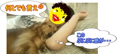 犬太郎とじゃにママ
