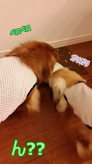 ん??